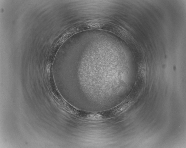 X0000052930271200507221129