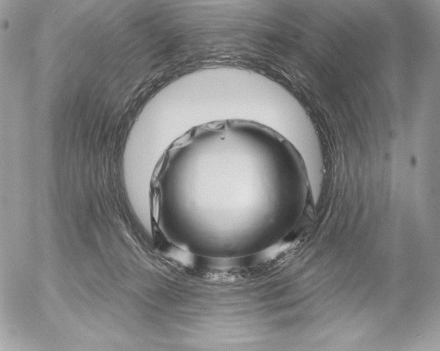 X0000052930272200507221129