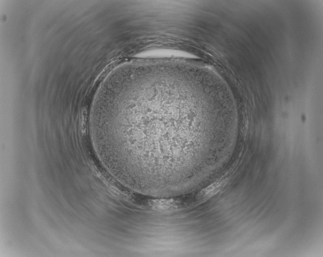 X0000052930273200507221129