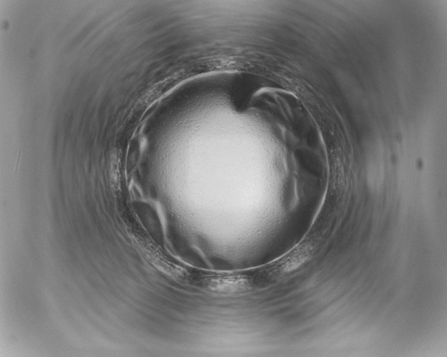 X0000052930274200507221129