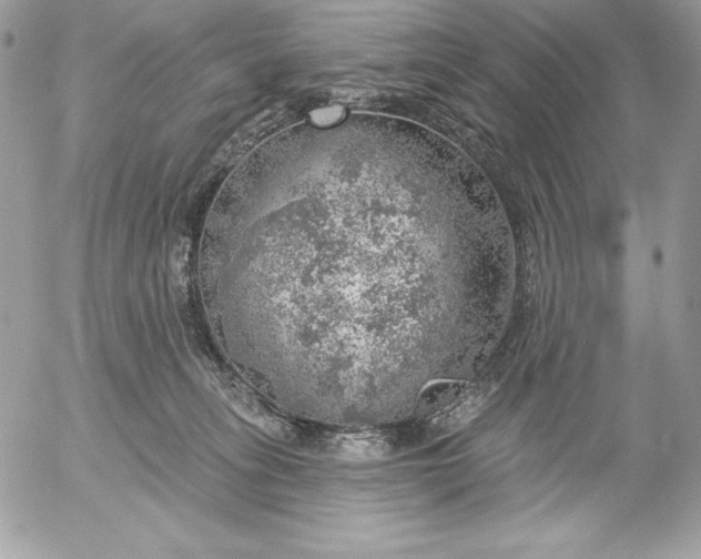 X0000052930275200507221129