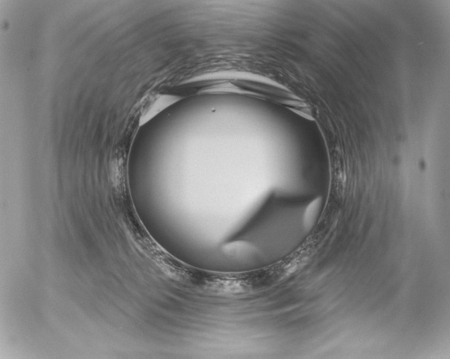 X0000052930276200507221129