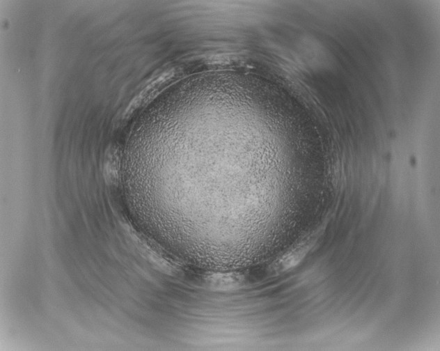 X0000052930277200507221129