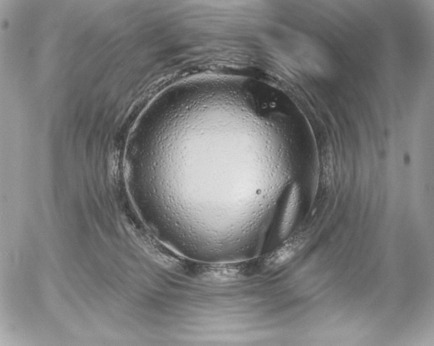 X0000052930278200507221129