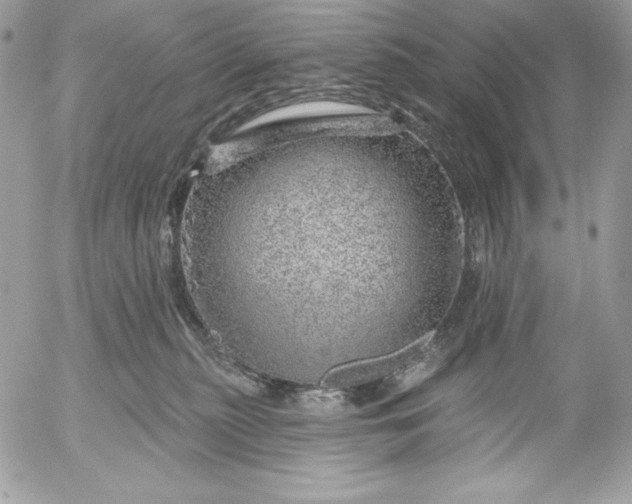 X0000052930279200507221129