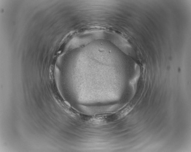 X0000052930280200507221129