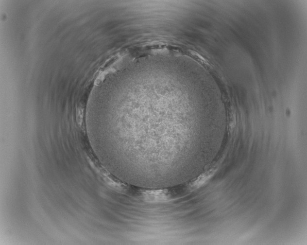 X0000052930281200507221129