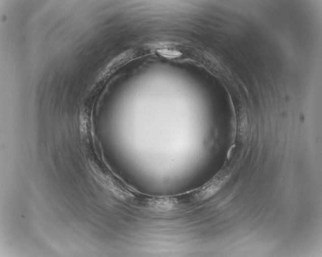 X0000052930282200507221129