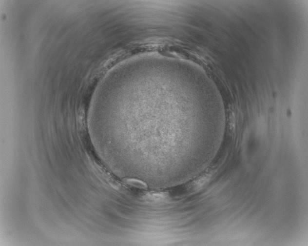 X0000052930283200507221129