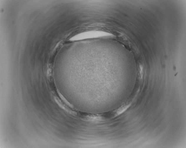 X0000052930284200507221129