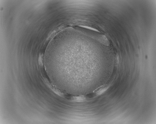 X0000052930286200507221129