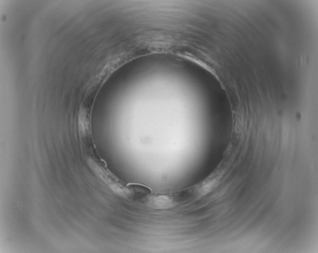 X0000052930287200507221129