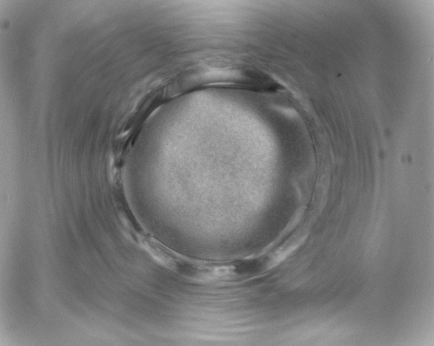 X0000052930288200507221129