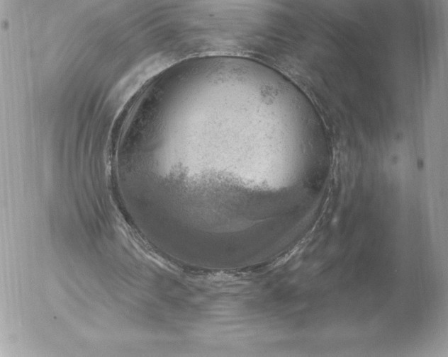 X0000052930290200507221128