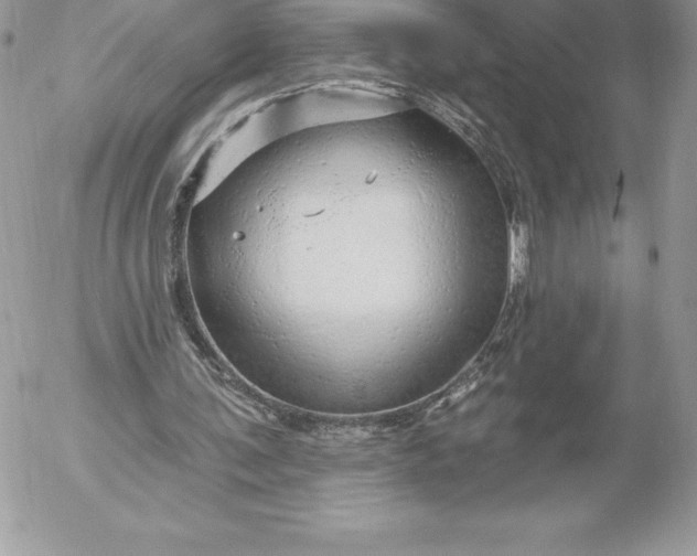 X0000052930291200507221128