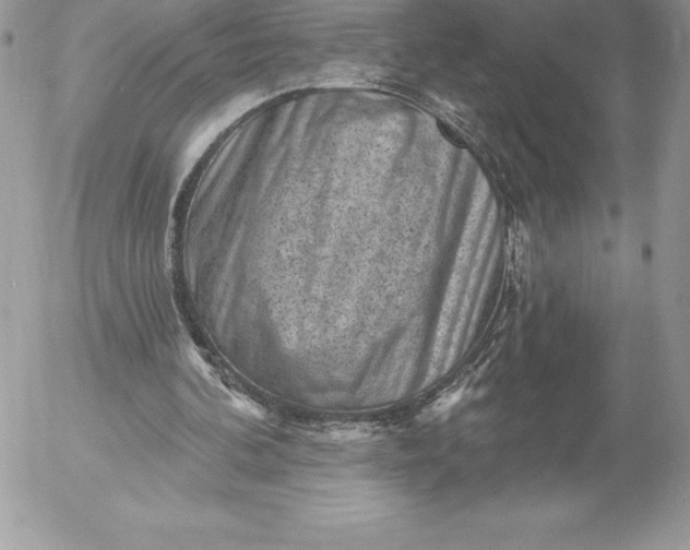 X0000052930292200507221128