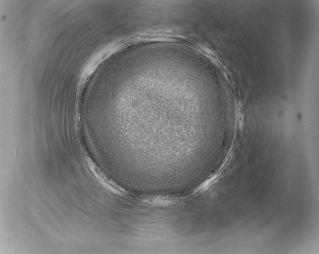 X0000052930293200507221128