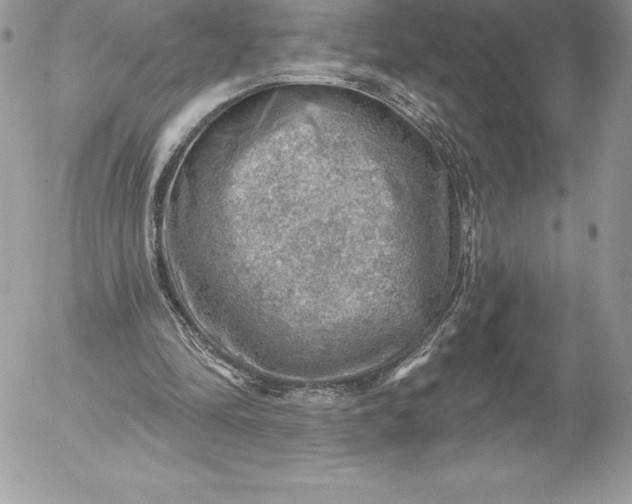 X0000052930294200507221128