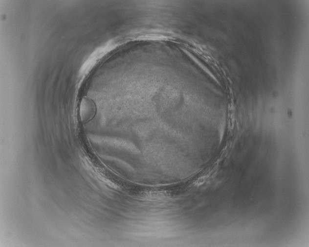 X0000052930296200507221128