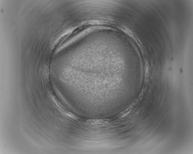 X0000052930297200507221128