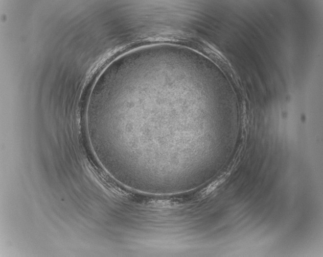 X0000052930298200507221128