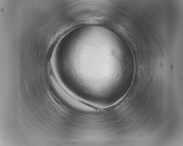 X0000052930299200507221128