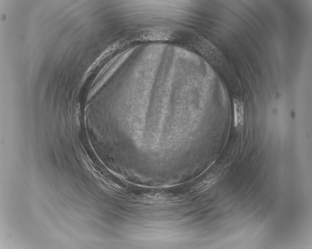 X0000052930300200507221128