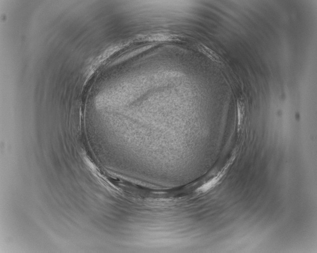 X0000052930301200507221128