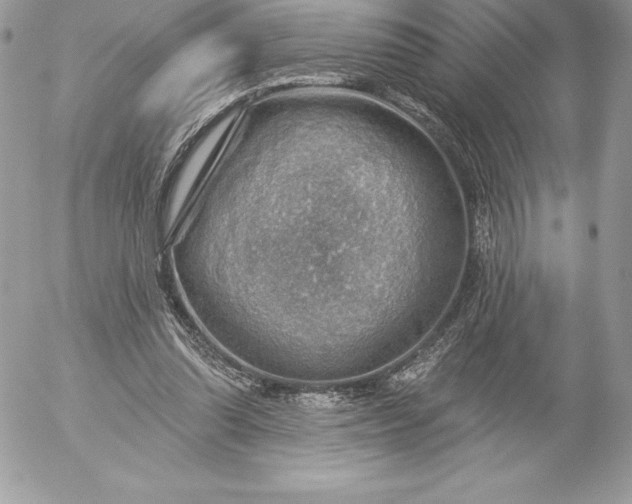 X0000052930302200507221128