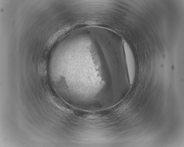 X0000052930303200507221128