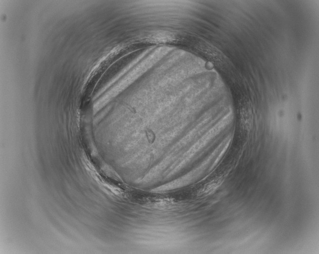 X0000052930304200507221128