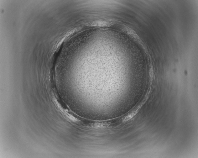 X0000052930305200507221128