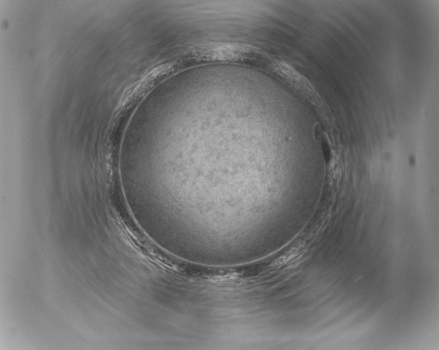 X0000052930306200507221128