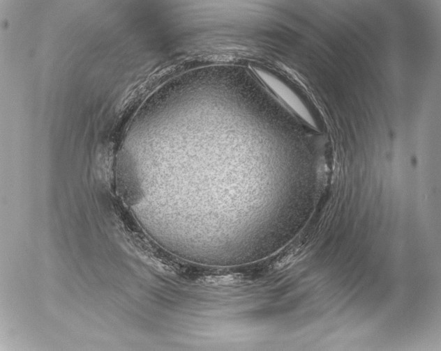 X0000052930307200507221128