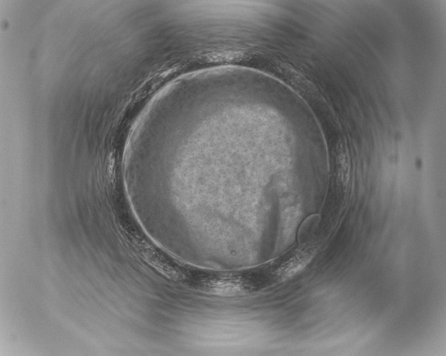 X0000052930308200507221128