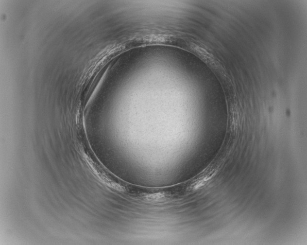 X0000052930309200507221128