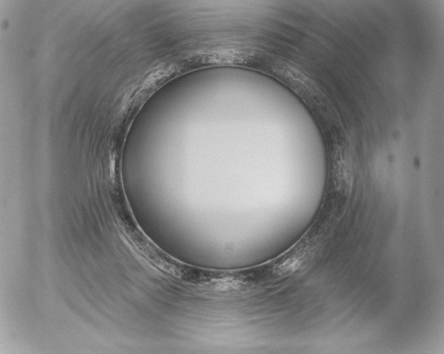 X0000052930310200507221128