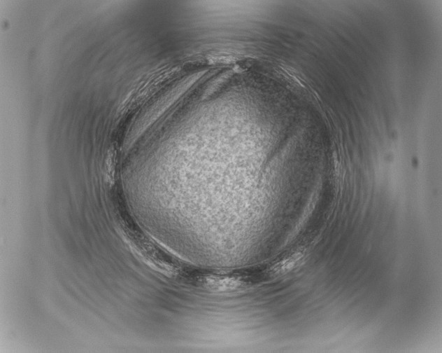 X0000052930311200507221128