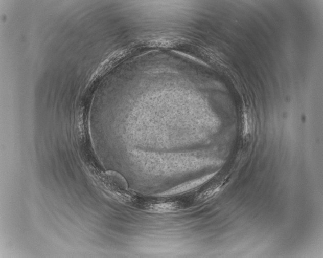 X0000052930312200507221128