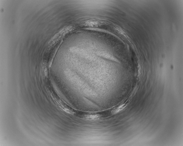 X0000052930313200507221128