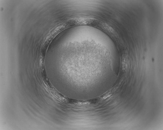 X0000052930314200507221128