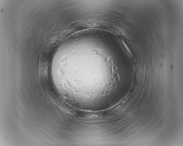 X0000052930315200507221128