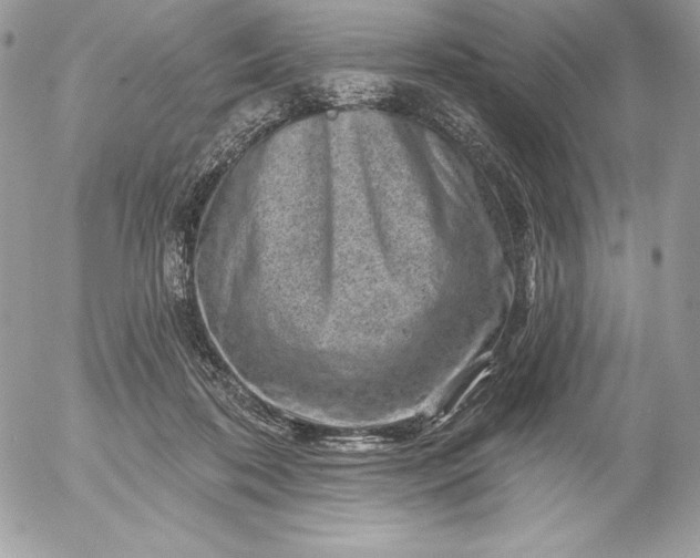 X0000052930316200507221128