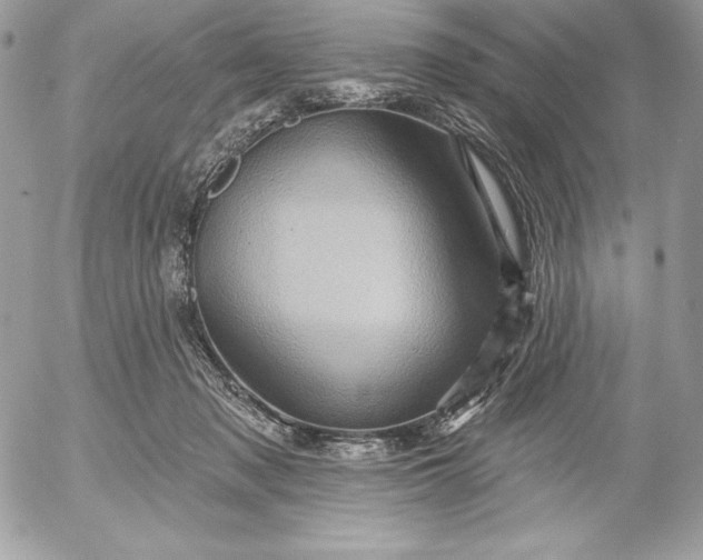 X0000052930317200507221128