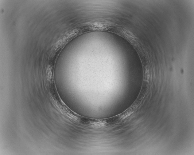 X0000052930318200507221128