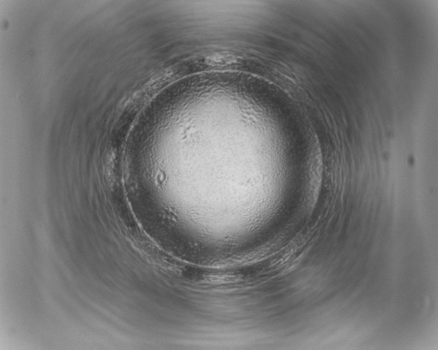 X0000052930319200507221128