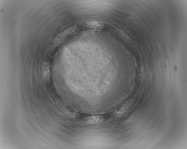 X0000052930320200507221128