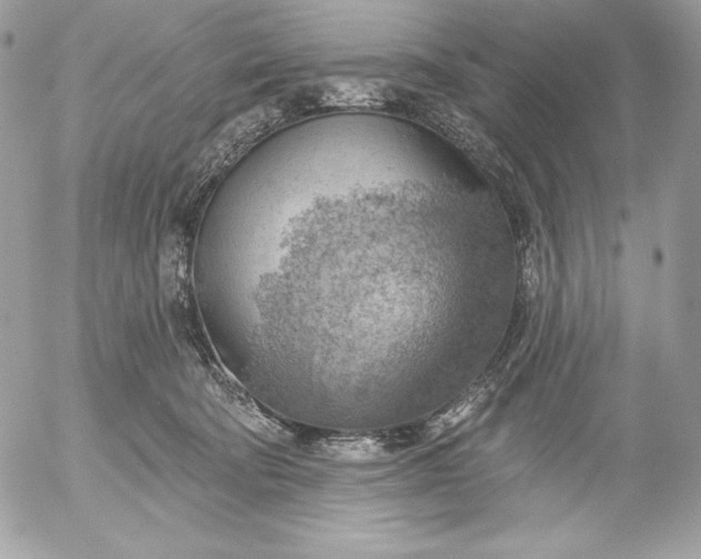 X0000052930322200507221128