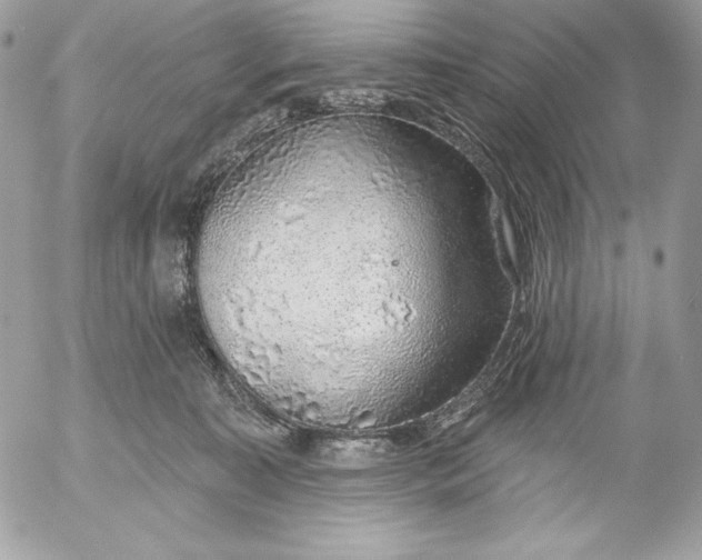 X0000052930323200507221128