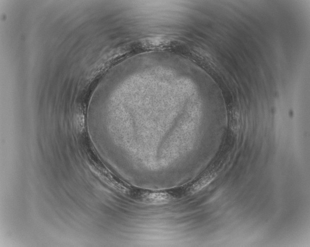 X0000052930324200507221128